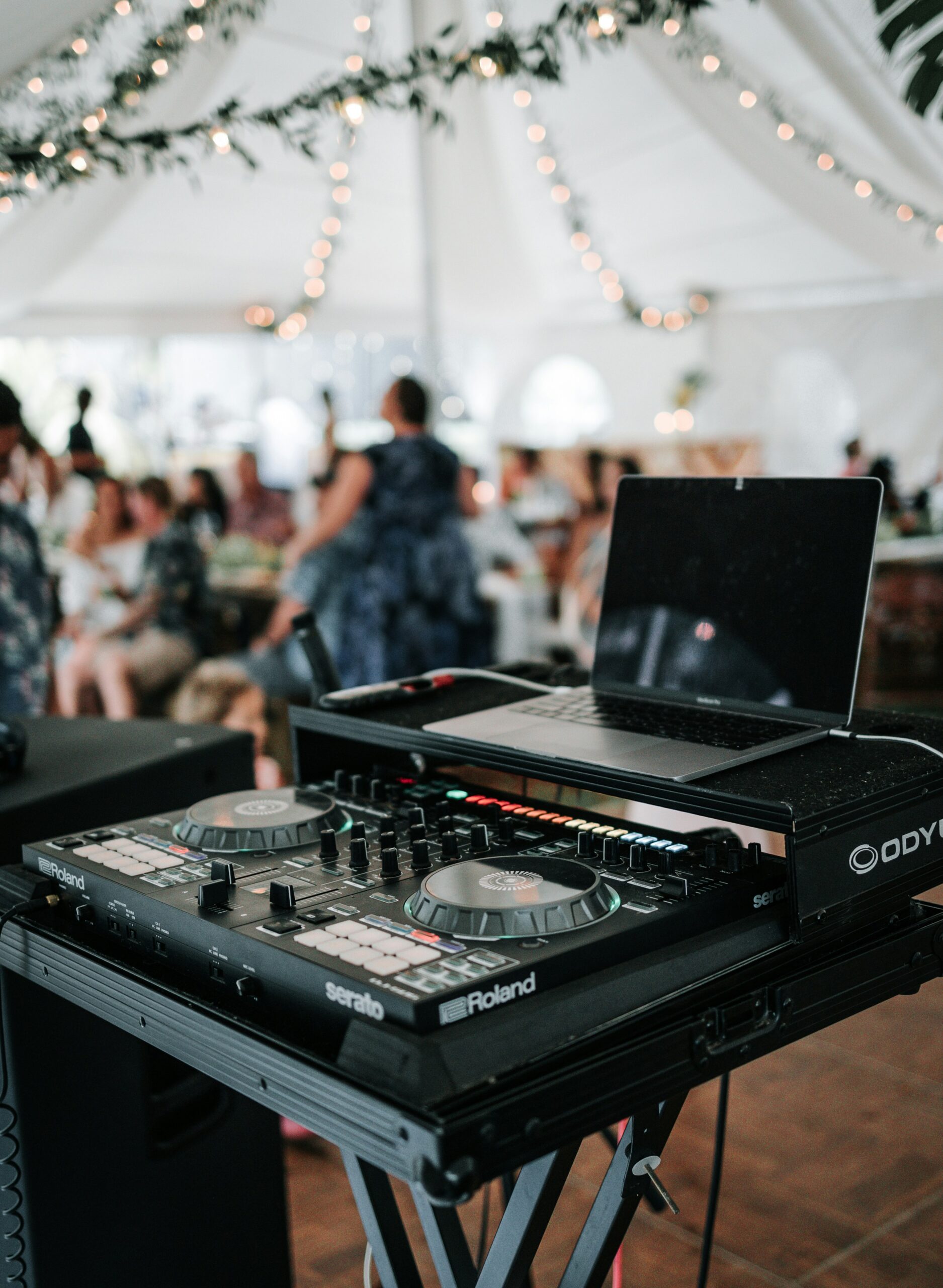 Wedding Vendors DJ Band