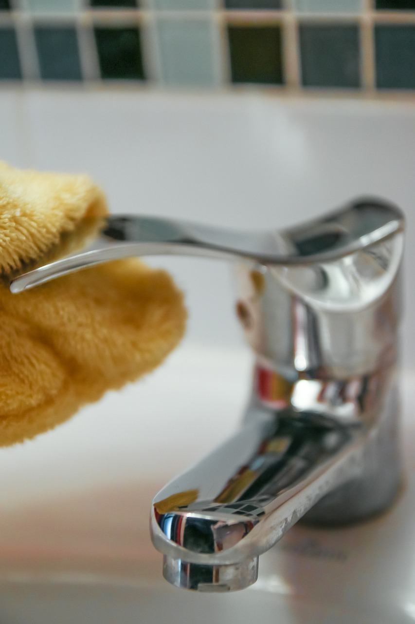 cleaning, washing, bathroom-268101.jpg